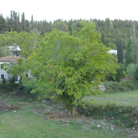 Pensjonat Chalikias 3*